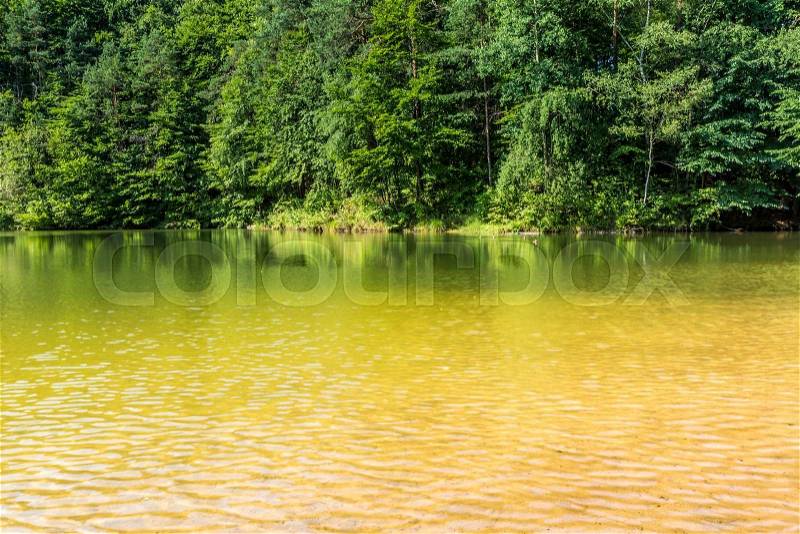 Summer landscape at the lake and forest with mirror reflection, stock photo