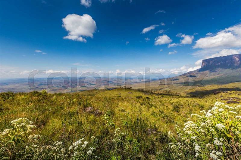 The view from the plateau of Roraima on the Grand Sabana - Venezuela, Latin America , stock photo