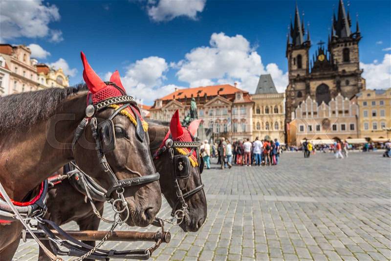 Horse Carriage waiting for tourists at the Old Square in Prague. , stock photo