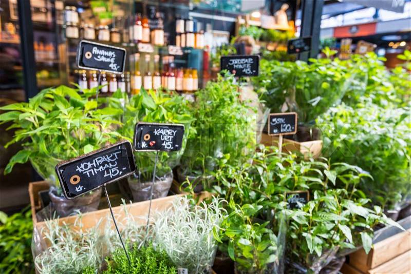 Different fresh green herbs on market outdoor summer in Copenhagen, Denmark, stock photo