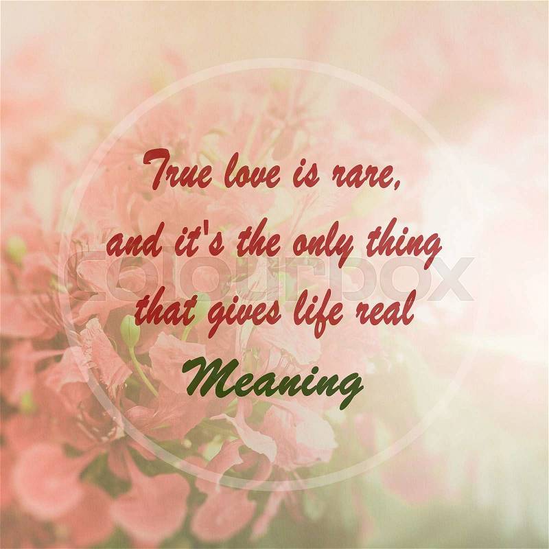 Meaningful quote on pink flower background, True love is rare, and it\'s the only thing that gives life real meaning, stock photo