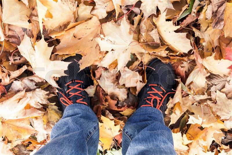Male feet in sport shoes standing on yellow falling maple leaves in autumn park, stock photo