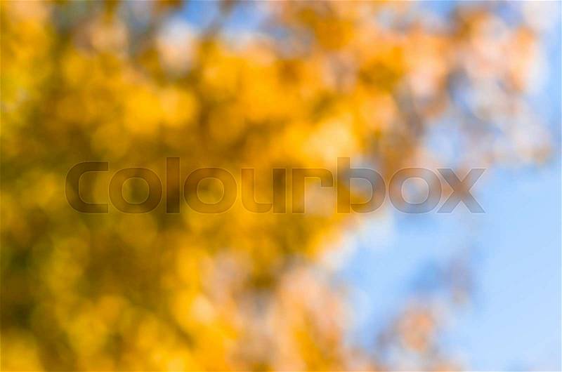 Very beautiful yellow green blue blur background texture, stock photo