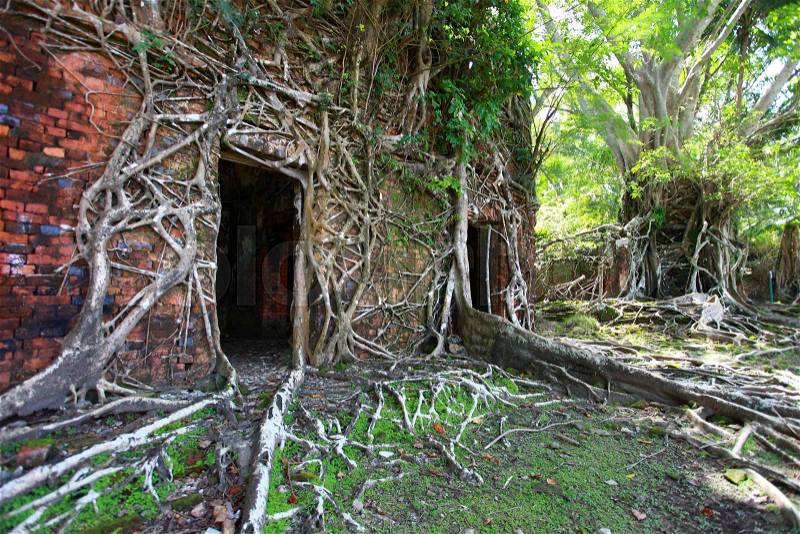 Ruin of abandoned building covered with roots on Ross Island. Andaman Islands, India , stock photo