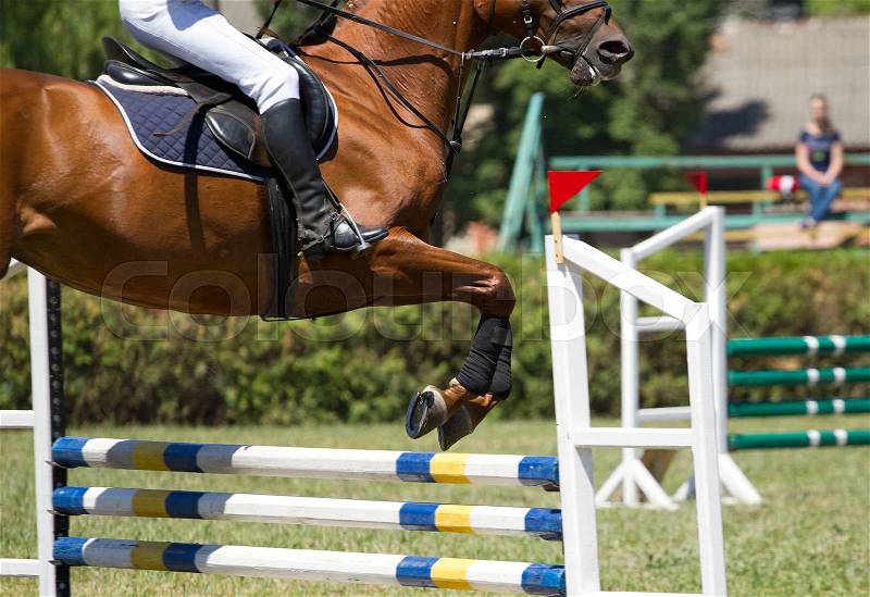 Horse jump a hurdle in competition, stock photo