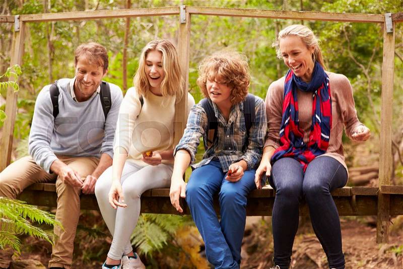 Parents and teens playing, sitting on a bridge in a forest, stock photo