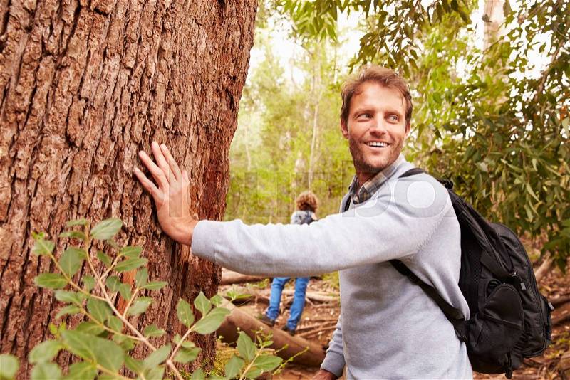 Man touching a tree in a forest, his son in the background, stock photo