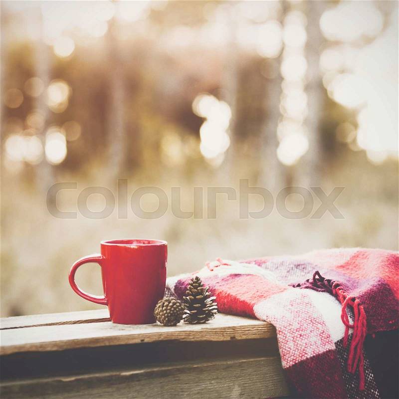 Cup of tea and warm plaid blanket on wooden rustic bench in the autumn forest. Fall weekend. Photo toned, selective focus, stock photo
