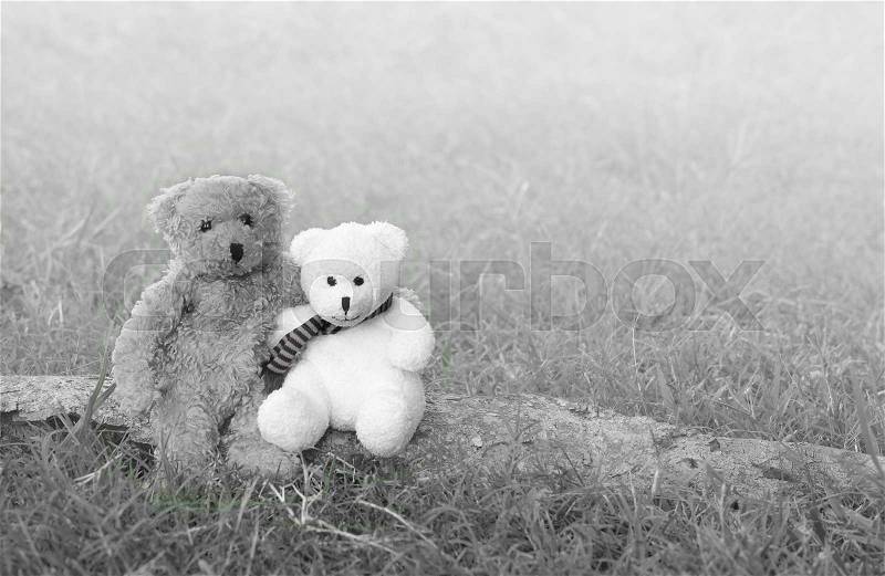 Two teddy bears hugging and sitting on the timber in meadow, black and white retro style, stock photo
