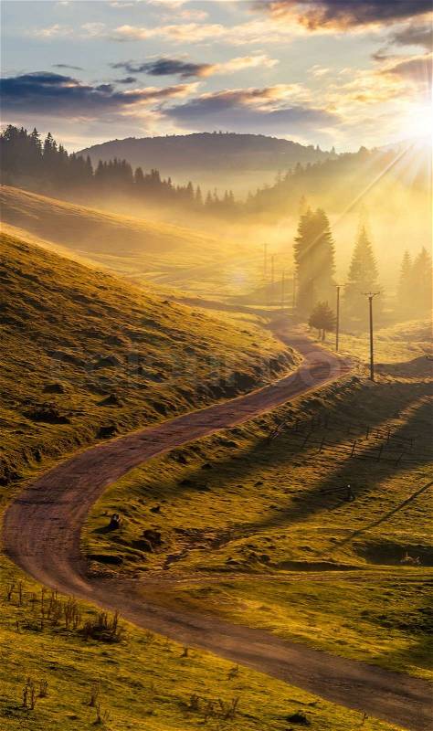 Rural landscape. curve road to conifer forest in fog through hillside meadow in high mountains in evening light, stock photo