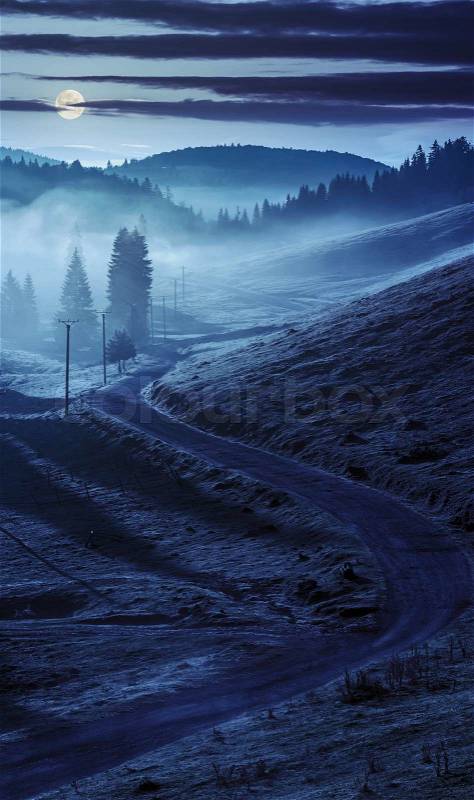 Rural landscape. curve road to conifer forest in fog through hillside meadow in high mountains at night in full moon light, stock photo