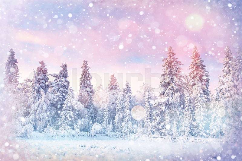 Winter landscape trees snowbound, bokeh background with snowflakes, stock photo