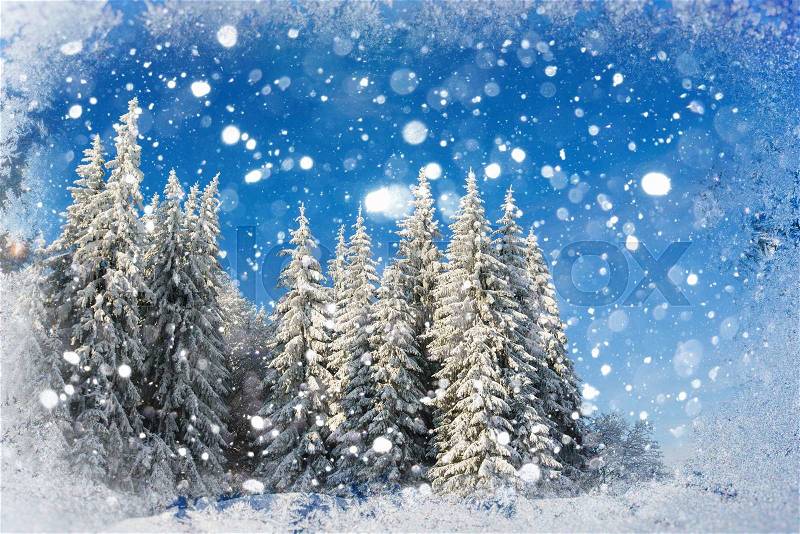 Winter landscape trees snowbound, bokeh background with snowflakes, stock photo