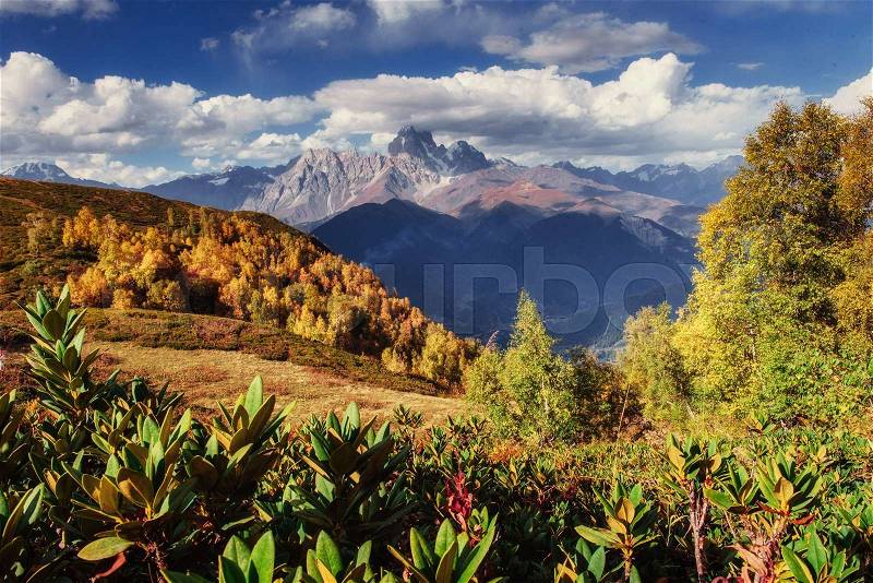 Magic autumn landscape and snow-capped mountain peaks. View of the mountain with Mount Ushba Mheyer, Georgia. George europe, stock photo