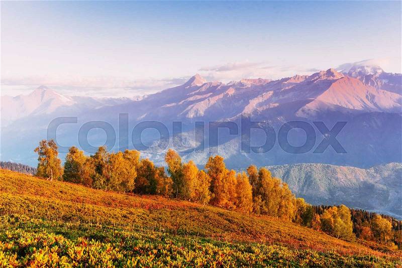 Autumn landscape and snow-capped mountain peaks. View of the mountain with Mount Ushba Mheyer, Georgia. George europe, stock photo