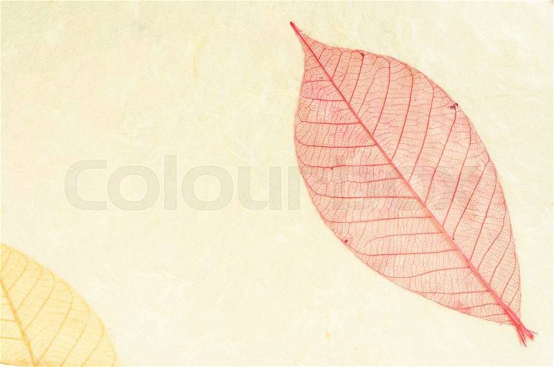 Natural paper structure made from dried leaves. recycle paper concept, stock photo