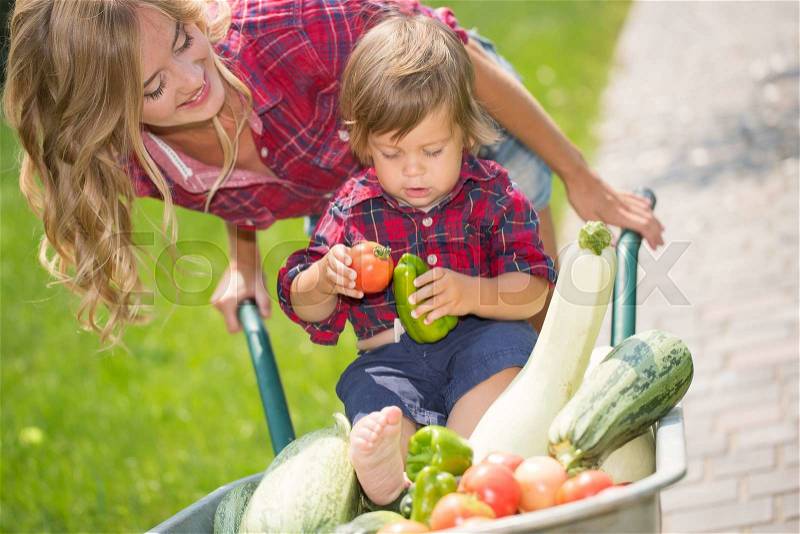 Mom and son with vegetables harvest in garden. little boy sitting in the wheelbarrow, stock photo