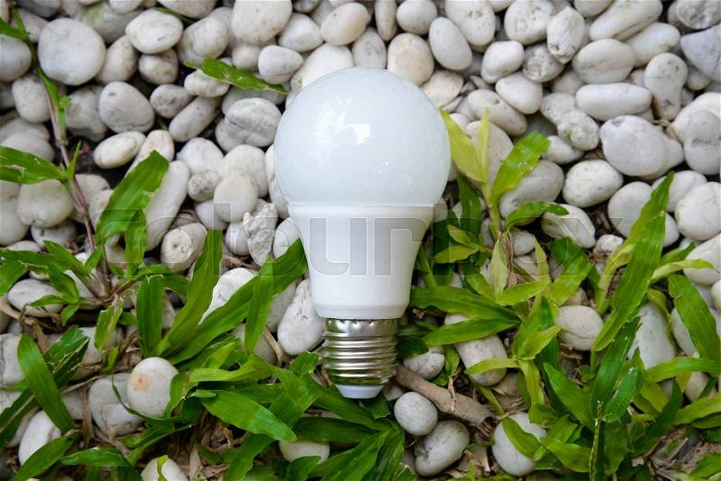 LED bulb - Energy and green nature, stock photo