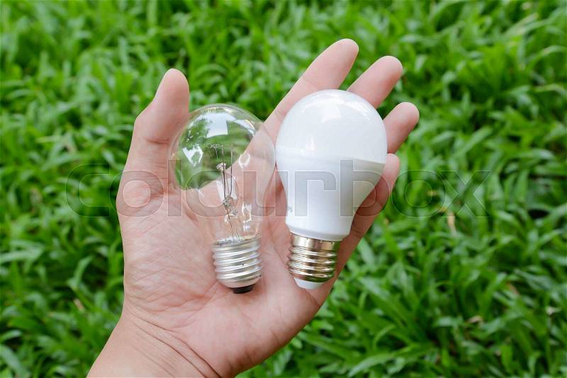 LED bulb and Incandescent bulb - Choice of energy, stock photo