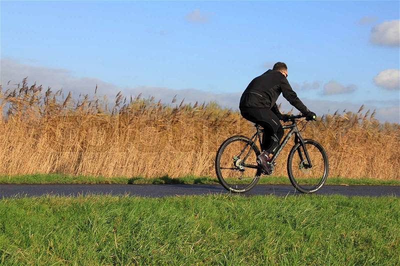 Blue sky with clouds, waving reed and a sporting biker is cycling in the park at the country side in autumn, stock photo