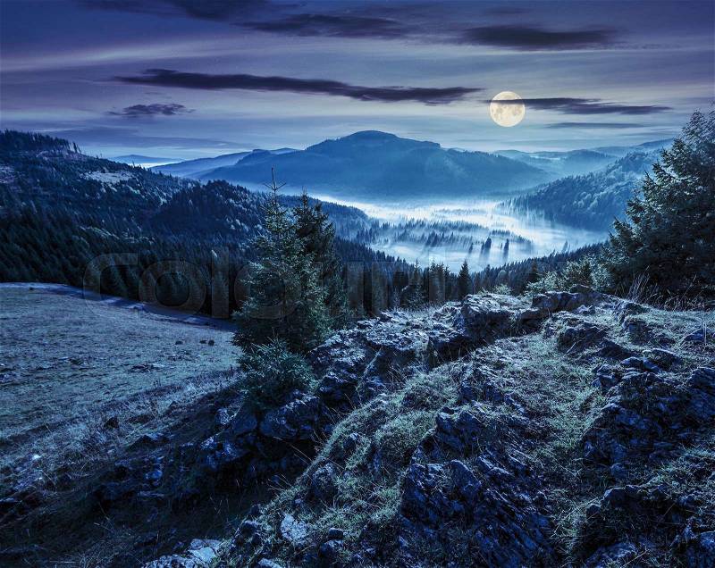View from a rocky cliff to full of fog valley with conifer forest in high mountains of Apuseni Natural Park in Romania at night in full moon light, stock photo