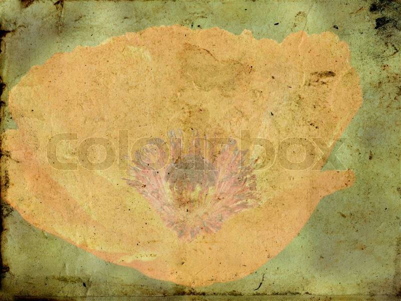 Old paper and flowers, stock photo