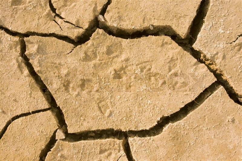 Animal footprints in dried earth, stock photo