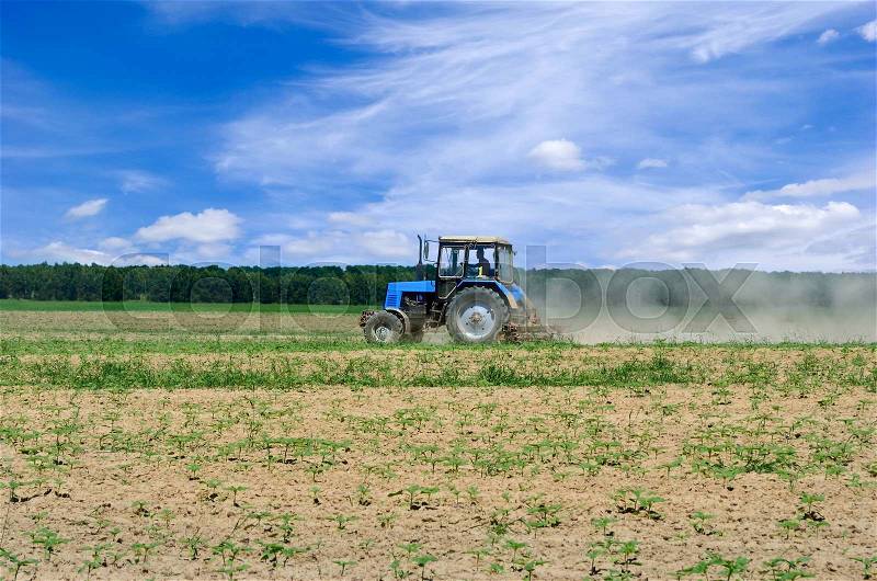 Tractor working in the field, against the blue sky, stock photo