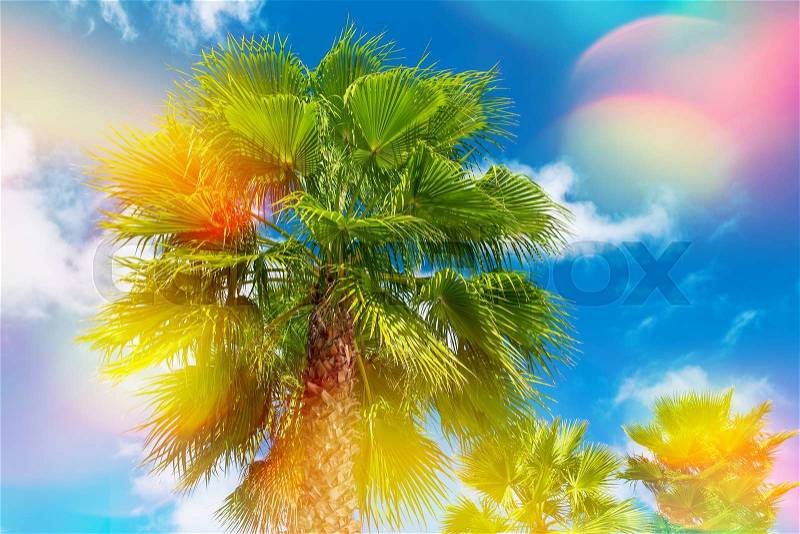 Green palm tree against beautiful sunny blue sky. Summer holidays nature background with light leaks and lens flares, stock photo
