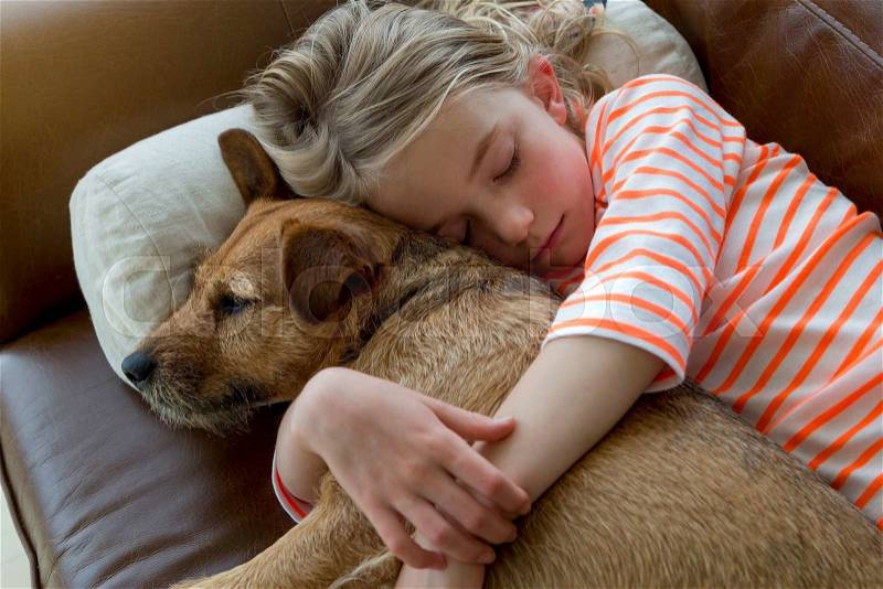 Young girl cuddling her pet dog on a sofa at home, stock photo