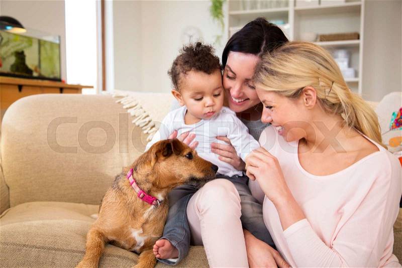 Same sex female couple sitting with their son and dog on the sofa in their home, stock photo