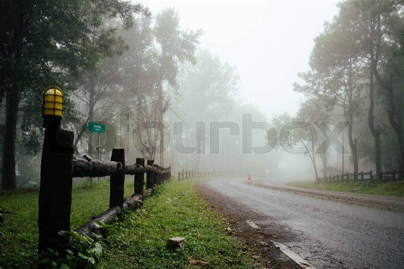 Road through forest with fog and misty countryside in thailand raining day, stock photo