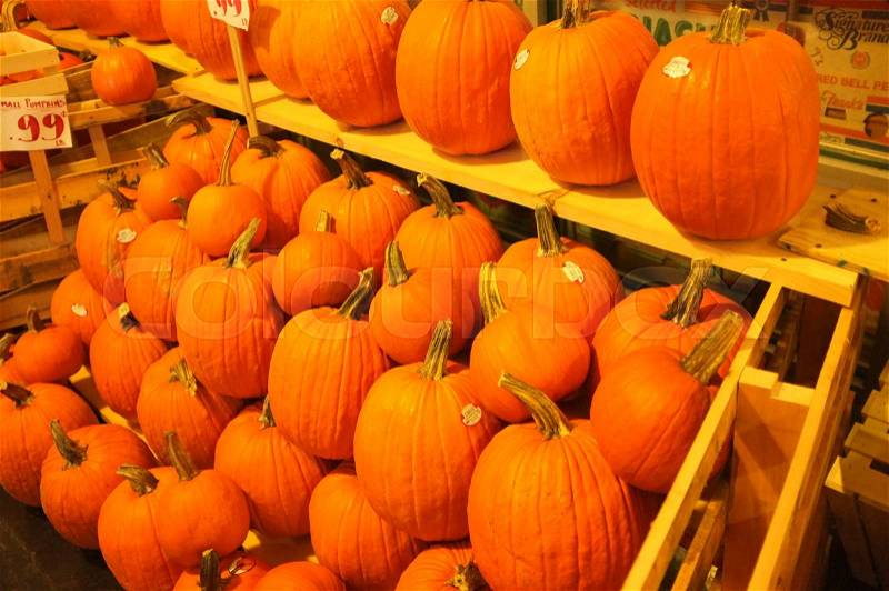 Photo of a pile of pumpkin winter squash crop harvest, stock photo