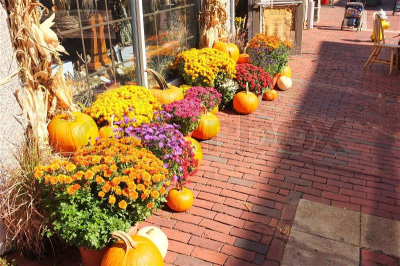 Photo of pumpkin winter squash crop harvest displayed on the street pavement cobblestone brick sidewalk, stock photo