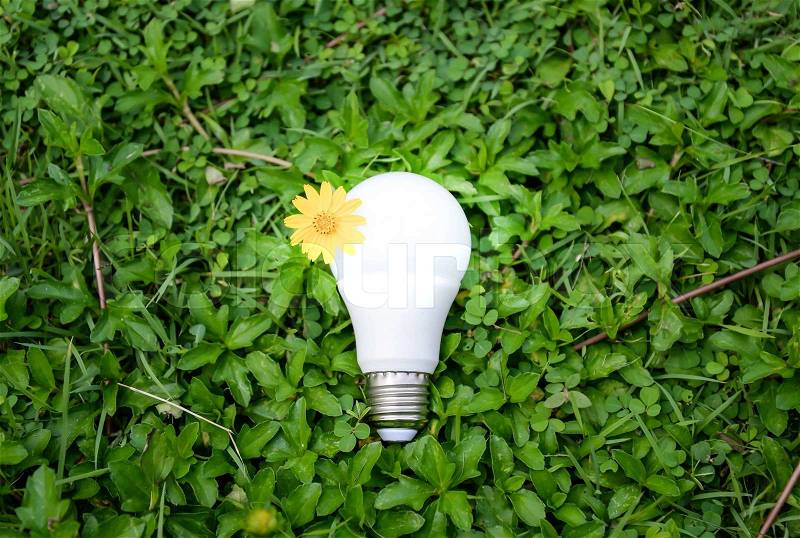 LED Bulb with lighting - Technology of eco-friendly lighting, stock photo