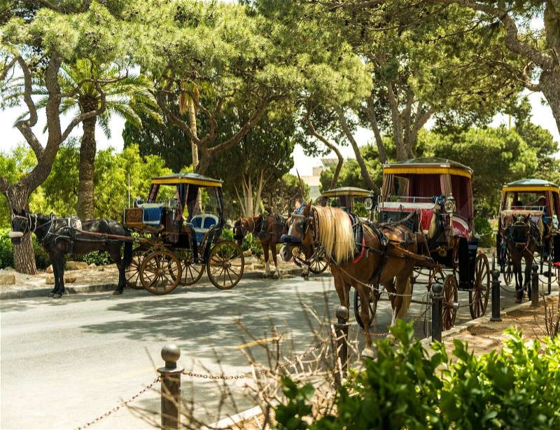 Row of horse with carriages in Mdina, old capital of Malta. Attraction for tourists, stock photo