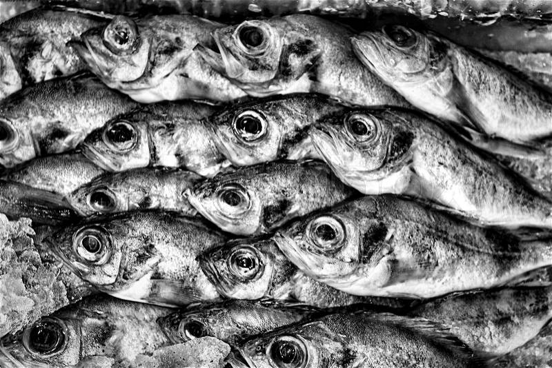 Black and white grunge background of frozen fish in the market, stock photo