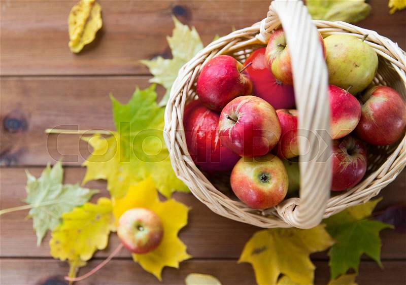 Gardening, season, autumn and fruits concept - close up of wicker basket with ripe red apples and leaves on wooden table, stock photo