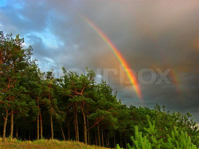 Rainbow over the forest, stock photo