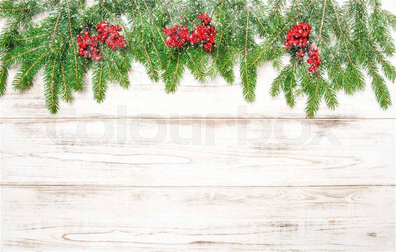 Christmas tree branch with red berries and falling snow. Winter holidays decoration, stock photo