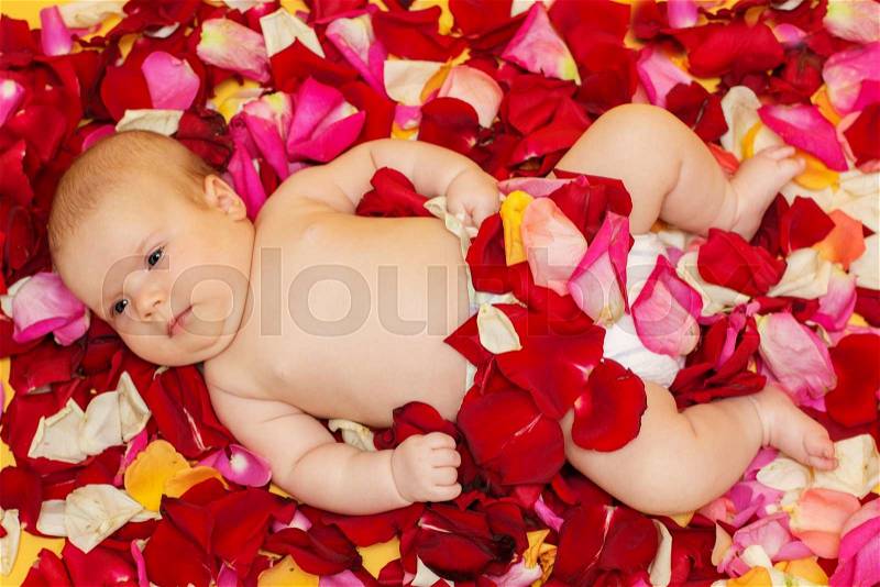 Adorable infant baby girl lying in pink, red and yellow rose petals, studio, stock photo
