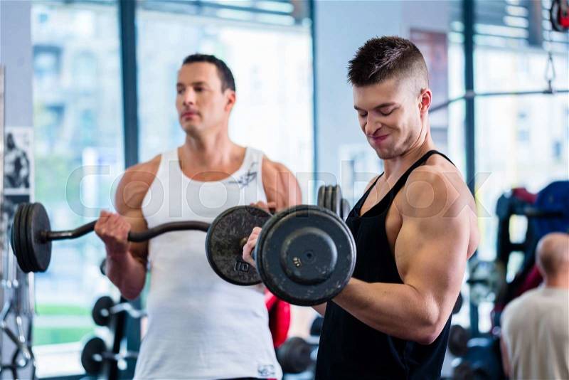 Friends lifting weights for sport in fitness gym motivating each other with a little competition , stock photo