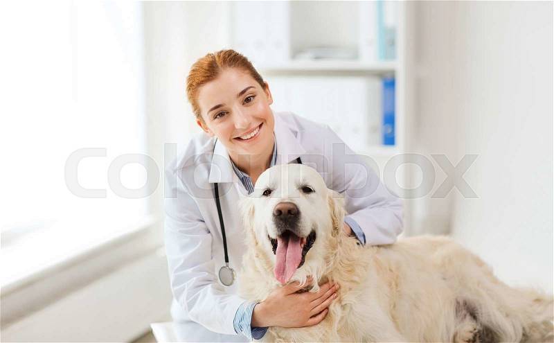 Medicine, pet, animals, health care and people concept - happy veterinarian or doctor with golden retriever dog at vet clinic, stock photo