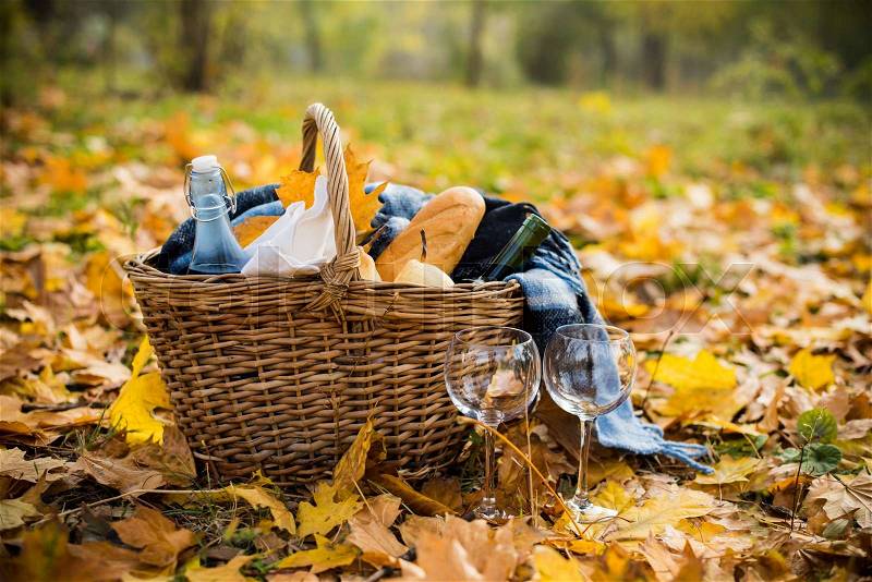 16095556-cozy-autumn-picnic.jpg