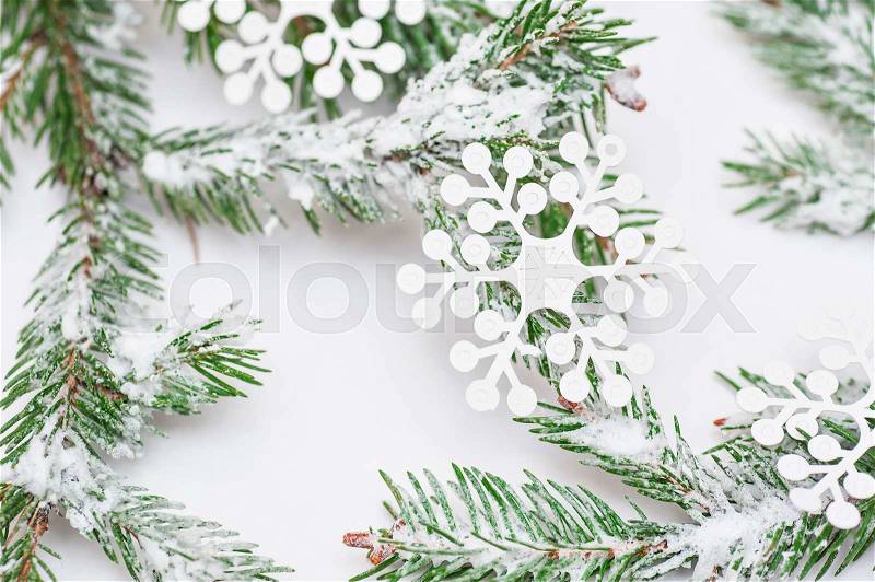 Christmas tree isolate on white background, stock photo