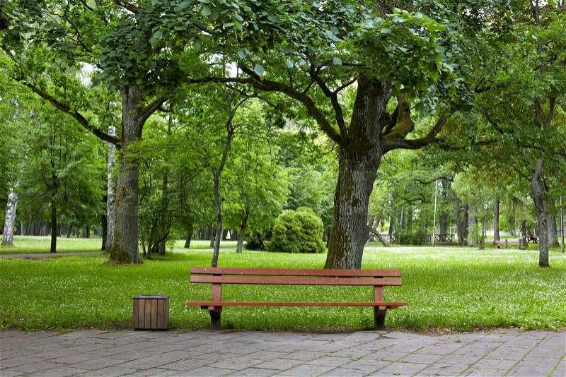 Old park, stock photo