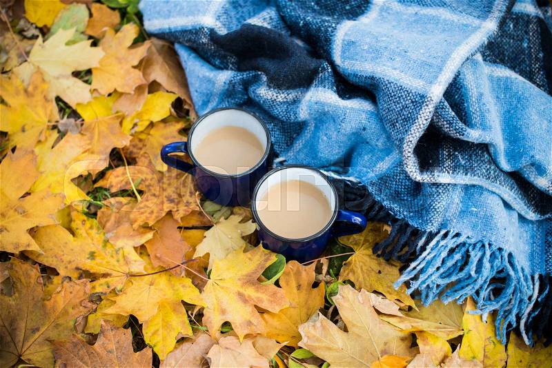 Two enamel mugs of hot coffee and plaid in the park on yellow autumn leaves, stock photo