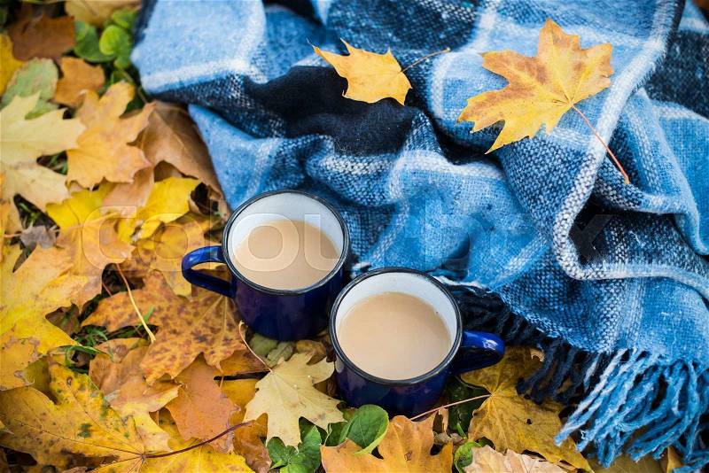Two enamel mugs of hot coffee and plaid in the park on yellow autumn leaves, stock photo