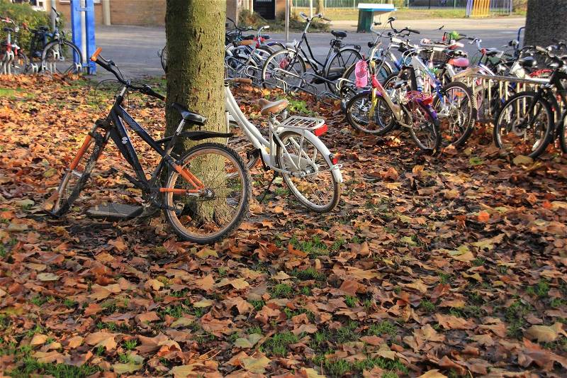 School playground and a lawn with the bikes, some against the trunk of the tree from the school-age children in the village in autumn, stock photo