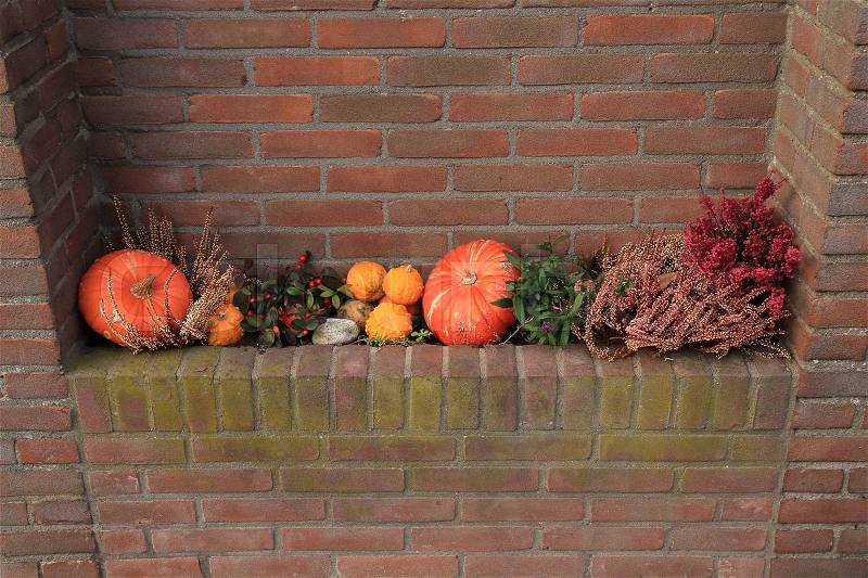 Decoration with pumkins, big and small and blooming heather in the wall of the house in the residential area in autumn, stock photo
